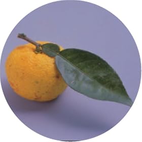 �����̖� �t���[�����E�H�[�^�[ �M�q 100ml