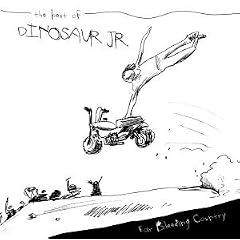 Ear-Bleeding Country: The Best of Dinosaur Jr.