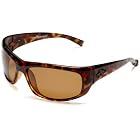 Anarchy Dispatch Resin Sunglasses