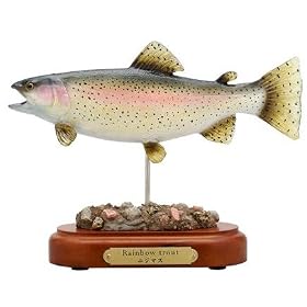 �j�W�}�X 18cm
