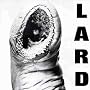 Power of Lard