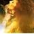GIBIER du MARI(DVD�t)