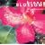 Bronze Blossoms~�u�����Y�̊J�� �o�����K�������̊��2