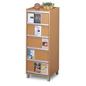 �I�[�N�X DVD�L���r�l�b�g DVS495N �i�`������
