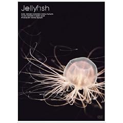 Jellyfish �q�[�����O�A�[�g �N���Q [DVD]
