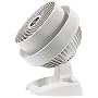 Vornado �T�[�L�����[�^�[(��C�z��) �z���C�g �y6~12���p�z  530J