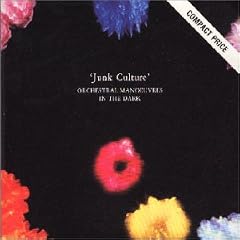 Junk Culture