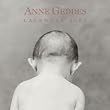 Anne Geddes Pure Mini Wall Calendar: 2004 Mini Wall Calendar