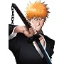 BLEACH(A) 2009�N�J�����_�[