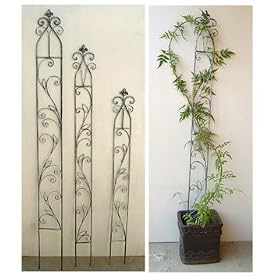 �X�����t�F���XS TTSF-S10�i����121�����A��15�����j