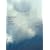 ap bank fes�f07 [DVD]
