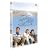���{�e���r 24HOUR TELEVISION �X�y�V�����h���}2006 �u���E�L�v [DVD]