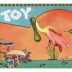 Toy
