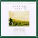 Amazing Grace, Vol. 2: A Country Salute to Gospel