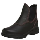 Ariat Men's Barn Yard Twin Gore H20 Boot