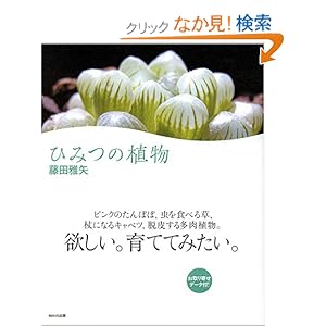 【クリックでお店のこの商品のページへ】ひみつの植物: 藤田 雅矢: 本