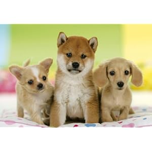 【クリックで詳細表示】めざせ！パズルの達人 300ピース こんにちわん 25-120