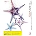 Adobe GoLive CS2.0 ���{��� Windows�� �A�b�v�O���[�h��