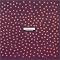 THE WEDDING PRESENT & CINERAMA (1985-1998-2004-)