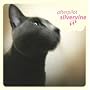 silvervine