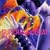 �X�[�p�[�E���[���r�[�g Vol.91