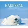 HARP SEAL�\�J�i�_�E�X�C�ɐ�����^�e�S�g�A�U���V (���ŎЃt�H�g�O���t�B�b�N�V���[�Y)