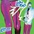 Midnite Vultures