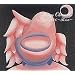 Mayo Okamoto Tour 2000~RISE~ [DVD]