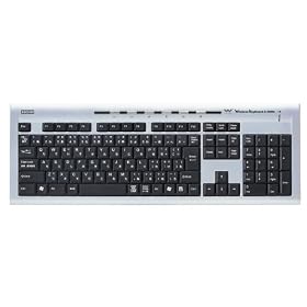 ���C�����X�L�[�{�[�h 2.4GHz