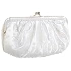 La Regale Gathered Pouch Frame Beaded