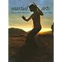 Martial Arts: The Spiritual Dimension (Art & Imagination)