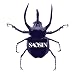 Saosin