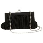 La Regale Mini Pleated Clutch