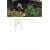 �x�j�V�A�̋��s���R��炵 �\�匴�Ɉ��Z�̒n�����߂� Venetia's Kyoto Country Living
