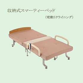 【クリックでお店のこの商品のページへ】収納式電動スマーティベッド AX-B914E