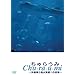 ����炤�� �������C�����قւ̏��� [DVD]