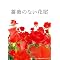 SMAP <����T��/��_��Y> �剉TV�h���}�A2�쓯�������I