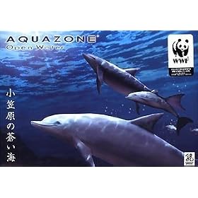 AQUAZONE Open Water ���}���̑����C