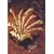 HISTORY IV [DVD]