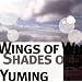 Wings of Winter, Shades of Summer