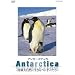 Antarctica ~��ɁE�厩�R�ɐ�����y���M������~ [DVD]