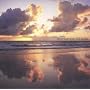 Destination Paradise