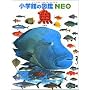 �� (���w�ق̐}��NEO)