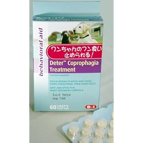 �f�B�[�^�[ 60�� �i���p�j �y�T�v�������g�z�y�H���h�~�z