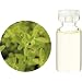 �����̖� C �}�W������ �G�b�Z���V�����I�C�� 10ml