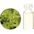 �����̖� C �}�W������ �G�b�Z���V�����I�C�� 10ml