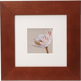 【クリックで詳細表示】フォトフレーム Pre-time (プレタイム) 15 ブラウン