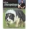 Sheepdog