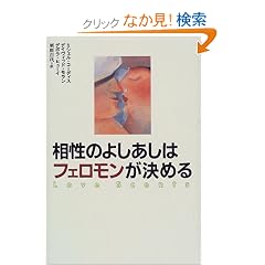�����̂悵�����̓t�F�����������߂�