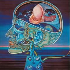 �N���A���C�g�E�V���t�H�j�[(���W���P�b�g�d�l)
